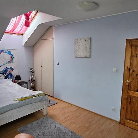 Apartament W Komornikach コモルニキ エクステリア 写真